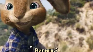 Приятный легкий фильм 😍 ✅ Название : Бунт ушастых (2011)✅