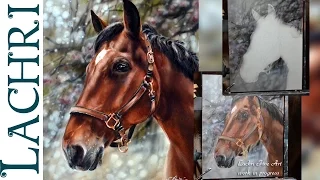 Speed Painting a horse in oil & acrylic paint - Time Lapse Demo by Lachri