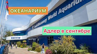 Адлер/ОКЕАНАРИУМ в Адлере/Отдых в Сочи/ Курортный городок Адлер