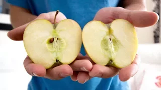 This Week I Learned to Split an Apple with my Hands