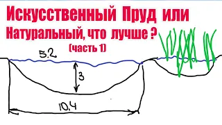 Искусственный пруд или натуральный, что лучше ? (часть1)