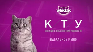 Идеальное меню  искусство правильного питания — WHISKAS К Т У