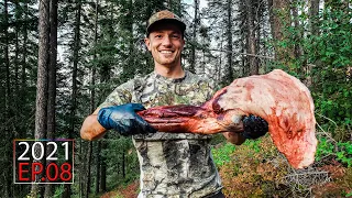 Fresh Mountain Meat - Washington Fall Bear Hunt (Cooking w/ Bear Fat) | 2021 Hunting Season EP.08