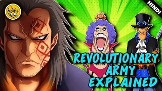 Revolutionary Army and its Secrets Explained in One Piece in Hindi