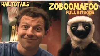 zoboomafoo with the Kratts brothers - hail to tails - full episode - Kratts series - kids video