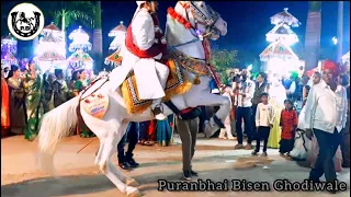 पुरनभाई बिसेन घोड़ीवाले (Gondia)   (P B Dhumal Group)      Ghodi Dance by PURANBHAI BISEN GHODIWALE