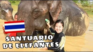 SANTUARIO DE ELEFANTES EN TAILANDIA! NOS BAÑAMOS CON ELEFANTES! ♥ - soojungcita