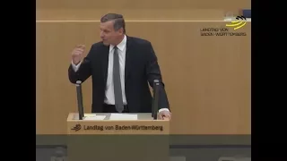 Landtag Stuttgart: FDP-Fraktionschef Ulrich Rülke nimmt AfD auseinander