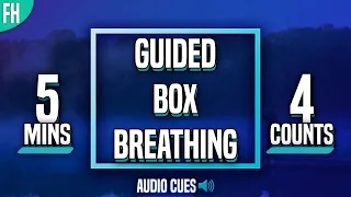 Guided Box Breathing - 5 Minute Meditation (4-4-4-4)