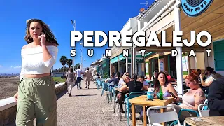 Pedregalejo Malaga Spain Sunny Day March 2024 Update Costa del Sol | Andalucía [4K]