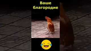 Ваше благородие