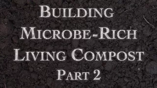 Building Microbe-Rich Living Compost Part 2