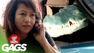 Alligator Attack Caught on Tape - JFL Gags Asia Edition