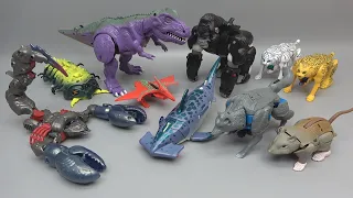 [TRANSFORMERS]Vintage  BEAST WARS TRANSFORMATION