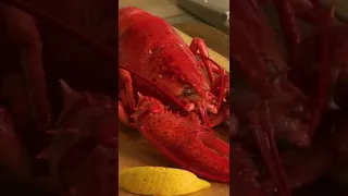 #short Why Do Lobsters Turn Red?