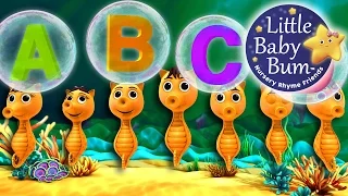 ABC Song | Underwater! | Zed Version | Nursery Rhymes | By LittleBabyBum!