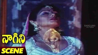 Naagini Movie Climax Scene || Naagini Telugu Movie || Rishi Kapoor, Sri Devi