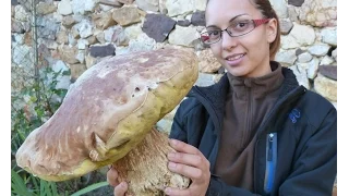 Boletus Edulis XXL gigante, MUST WATCH![HD]😱