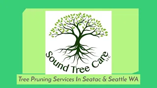 Tree Pruning Services In SeaTac And Seattle WA - Sound Tree Care