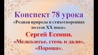 78 урок 4 четверть 6 класс. Урок по поэзии Есенина. "Мелколесье, степь и дали", "Пороша"