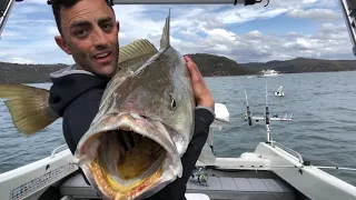 BIG HAWKSBURY MULLOWAY  (UNCUT VERSION)  *VOLUME UP* EPIC REACTION !!!