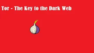 Tor - The Key to the Dark Web | Helpy Support