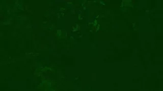 Dewey Lake Monster 1 (Night Vision)