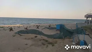 Красивый и пустой пляж Черноморска! 🏖Только чайки!