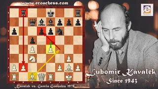 Greatest Chess Positional Play! Kavalek vs. Gonzales Buenos Aires Olympiad 1978