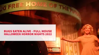 SPOILERS Walk Inside! | Bugs Eaten Alive Haunted House @ Universals Halloween Horror Nights 2022