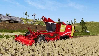 FARMING SIMULATOR 20 GAMEPLAY COLHEITADEIRA DE BATATA🥔