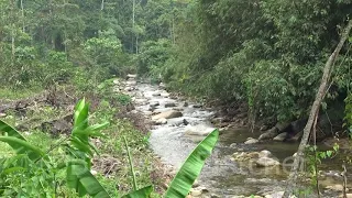 Mini-hydro development, Malaysia. 20180319_125124.m2ts