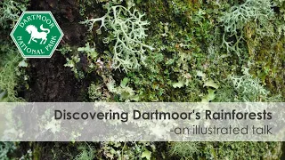 Discover Dartmoor's Rainforests