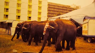 Circus Corty Althoff 1984 Tournee Holland 7