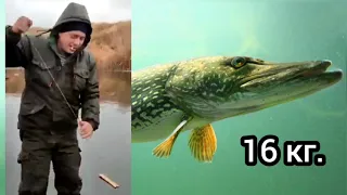 Щука 16 кг. Зимняя рыбалка. Fishing, 🎣 big pike! Щука монстр!Мечта рыбака!