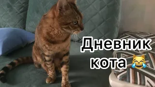 Дневник кота 😹