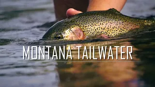 Montana Tailwater | Missouri Caddis Hatch