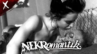 Nekromantik (1987) | Disturbing Breakdown and Review