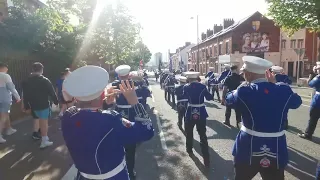 Ulster First Flute Band - UFFB - WILLIE MCBRIDE - South Belfast Protestant Boys Parade 2024