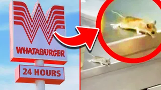 10 Secrets Whataburger Doesn't Want You to Know