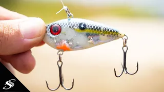 Fish CAN'T Resist This Lure - Spring Fishing