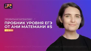 Решаем ВАРИАНТ #5 уровня ЕГЭ | ЕГЭ профильная математика 2022