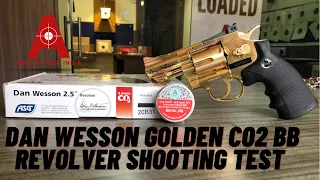 Dan Wesson golden CO2 BB Revolver shooting test
