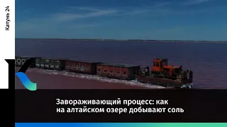 Завораживающий процесс: как на алтайском озере добывают соль