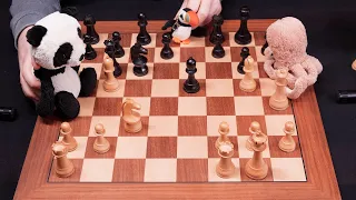 I Explain Chess Like You Are 5 Years Old ♔ ASMR