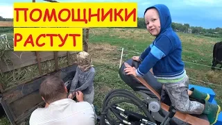 Деревенские будни / Папины помощники / Семья в деревне