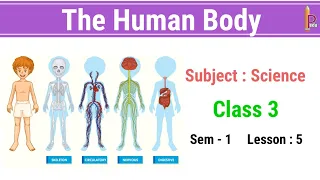 The Human Body Class 3 science CBSE | Grade 3 science Our Human Body