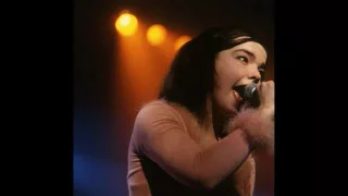 The Sugarcubes - Hit (Audio) Live @ Manchester Acadamy, UK, March, (1992) [Remastered]