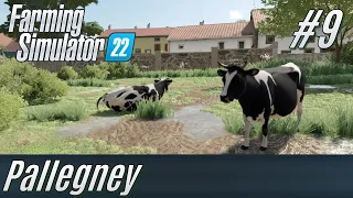 LS22: Pallegney #9: Kühe [deutsch]