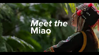 Meet the Miao